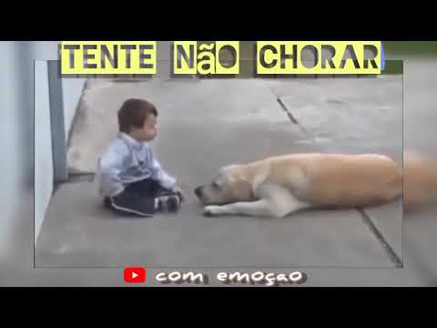 Tente nao chorar,video mais emocionante do mundo,video mais emocionante do youtube,video emocionante