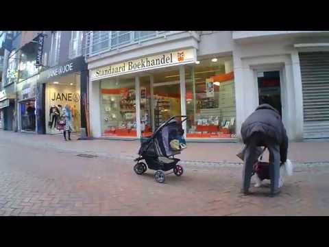 Leniwy pies z dobrze wytresowanym włascicielem