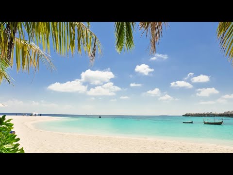 The Boardwalk/ pigeons🐦‍⬛/beach ⛱️ / boats🚢 / relaxation/ Ships⛴️/ Stores & more