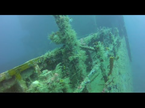 Diving on the wreck St George Bayahibe La Altagracia Dominican