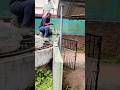 I Had To Jump Out Of The Cage Snakemaniac Snake Cobra Viral Shorts Reels