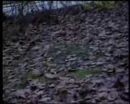 The motherfuckin' Nisse