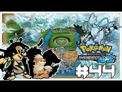 Pokémon N2 Randomlocke | Español | Ep.44 "Últimos preparativos"