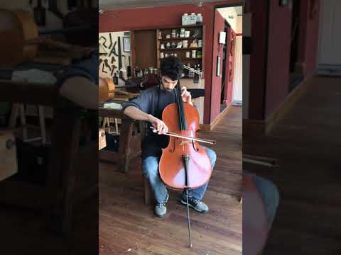 Milos Seyda - Violoncello