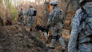 Hammerhead by Offspring Army Music Video