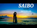Saibo Remix - Shor In The City | Aroone|Radhika Apte,Tusshar|Shreya Ghoshal,Tochi Raina