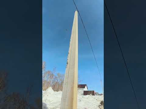 Из грузовика посыпались поддоны и я влетел в столб!