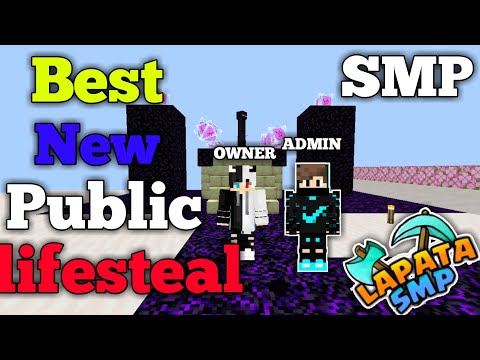 Insane Lifesteal SMP for Minecraft! Join Free Now! 🎁
