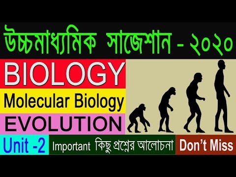 HS Biology Suggestion-2020(WBCHSE) | Molecular biology & Evolution | Most Important