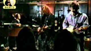 Wilco - I must be high ...LIVE