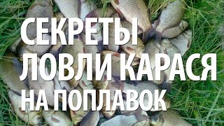 Смотреть онлайн Особенности рыбалки на карася