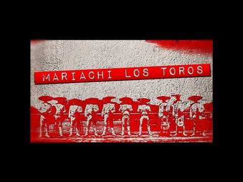 El Fandanguito  Mariachi Los Toros