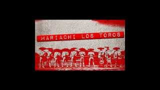 El Fandanguito  Mariachi Los Toros