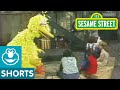 Sesame Street Guess That Animal With Big Bird