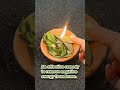 An Effective Remedy To Remove Negative Energy From Home Remedies Remedy Negative Removal Home