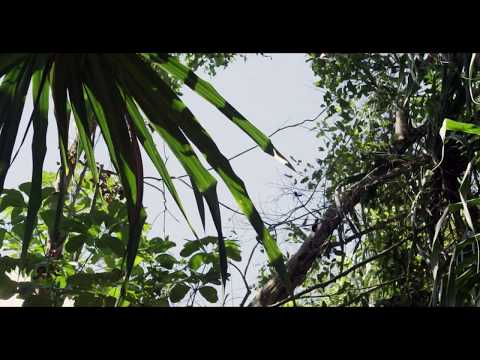 John Tejada - Autoseek (Official Video)