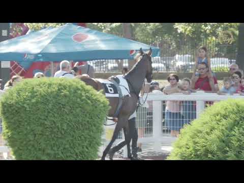 DD 20220814 07 Cena Whisky