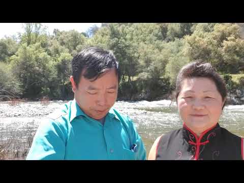 Txoj kev hlub tsi muaj hnub ncaim