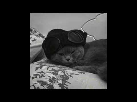 Мосты - Тишина