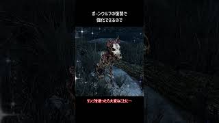 【Skyrim】リンゴを剣に塗ったら起こること