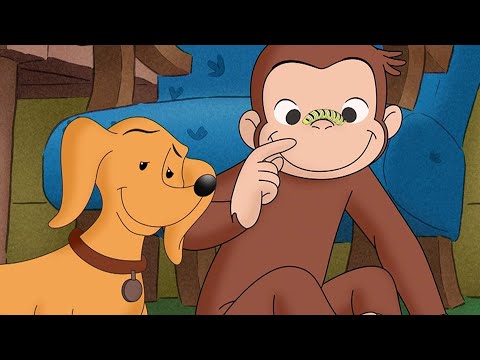 Jorge hace un nuevo amigo | Jorge El Curioso En Español