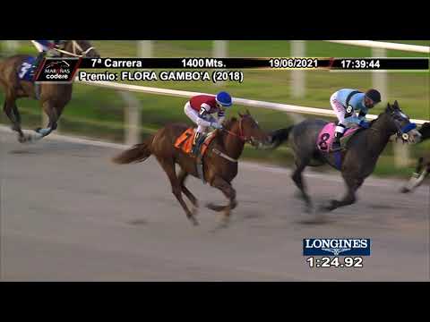 210619 c07 TOPO DO SUL