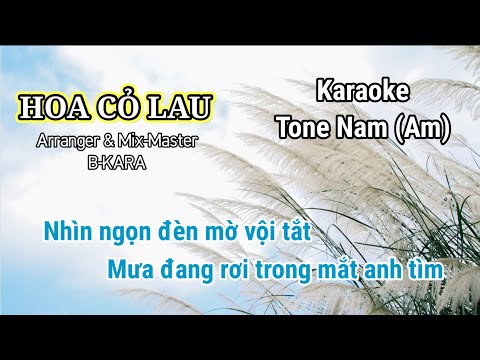 HOA CỎ LAU KARAOKE TONE NAM - PHONG MAX - B-KARA