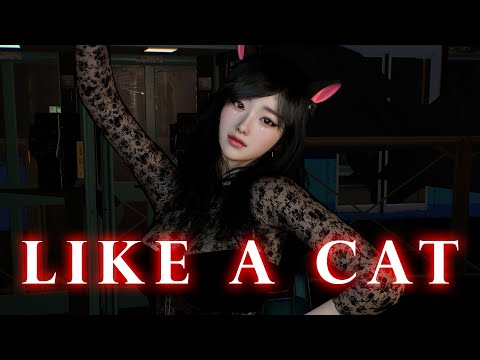 [MMD VAM] AOA - Like a Cat / 4k