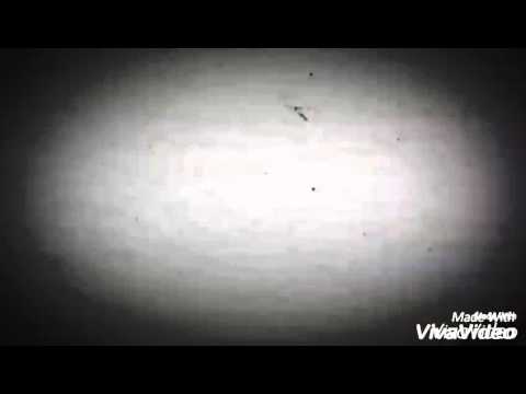 Summoner war - Despertando Amazona (Mara)