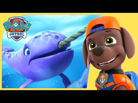 Sea Patroller Rescues | PAW Patrol Compilation | Cartoons for Kids