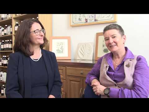 Cogmission - what we do