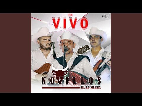 Soy Beltran (En Vivo)