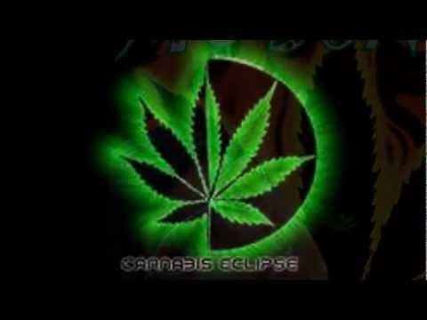 MC BONEKO BACK BOLADINHO