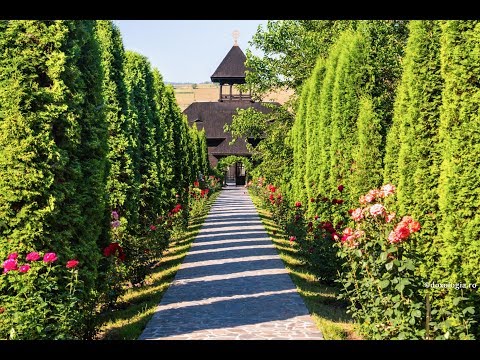 Cine și de ce se convertește la Ortodoxie?