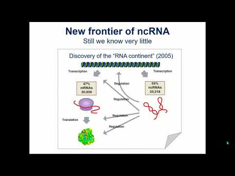 E03.2 An atlas of human long non-coding RNAs
