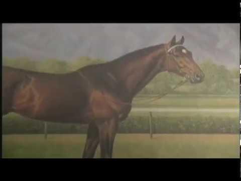 1988 Meadowlands Cup - Alysheba