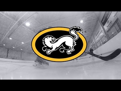 Naisten SM-sarja: Kärpät - Ilves 2.10.2016