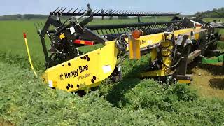 Honey Bee ST 21 traktorra szerelhető rendre arató - előrendelésre is