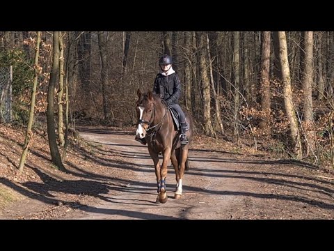 Malu (12) and Zappa - on March 4, 2022