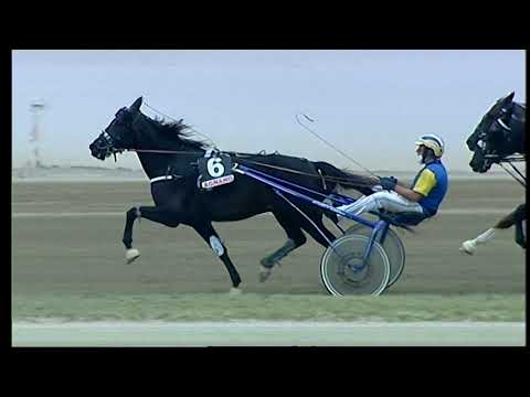 Napoli Trotto 17/09/2021 - 2ª corsa