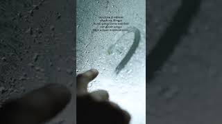 Download lagu Meiyaga nee ennai virumbadha podhum | Ennai kaanavillaiyae | Kadhal Desam | A.R. Rahman | Vaali mp3