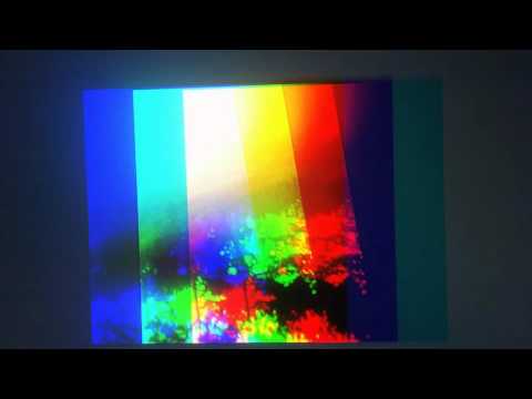 Vegardveslelia - HNFOS