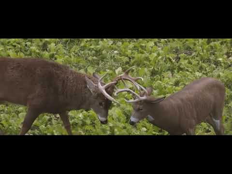 Heartland Bowhunter - Season 11 Trailer