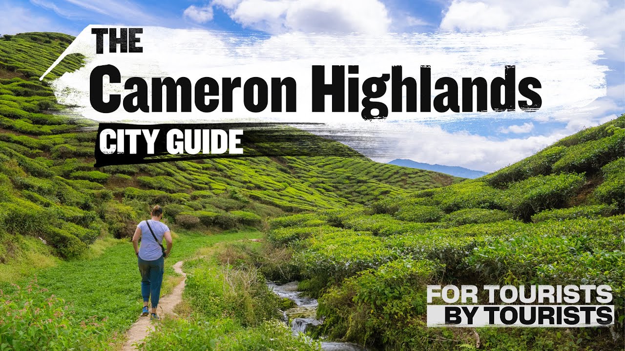 Essential tips to know before visiting Cameron Highlands.