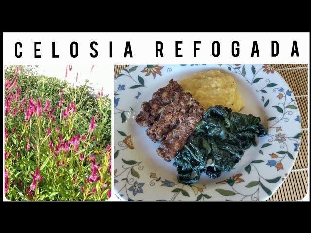 Video Pronunciation of Celosia argentea in English Video Pronunciation of Celosia argentea in English