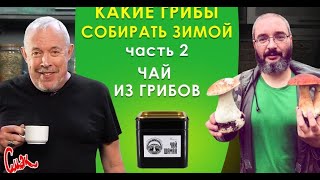 СМАК Андрея Макаревича. Какие грибы собирать зимой. Чай из грибов (часть 2)