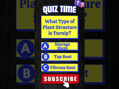 What Type of Plant Structure is Turnip? #turnip #plantstructuretype