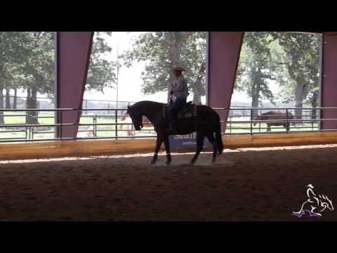 Horse Training - How to Keep Your Horse From Running Off In A Circle with Joe Schmidt