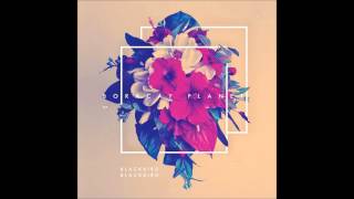 Blackbird Blackbird - It's a War