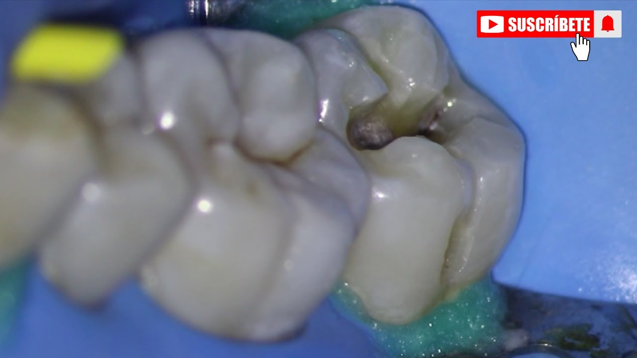 Cecilia Lopez Campa-16